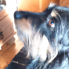 Hol den🙋‍♂️