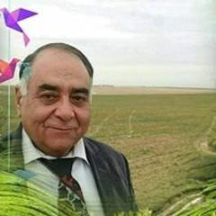 iragsoon2020@gmail.com