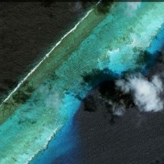 João Araponga Branco