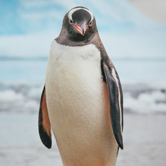 Irsyad Gerta Mahendra