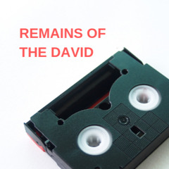 Remains of the David