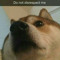 Dogger The Dog