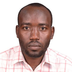Ibrahim Elhaj Mohamed Ali