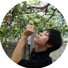 An Nguyen