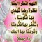 هيثم شداد