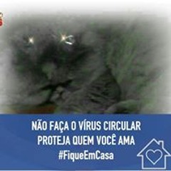 Viviane
