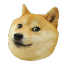 NeoDoge