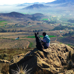 David Bordones Valderrama