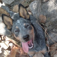 Cruz Eduardo Ortiz Vera