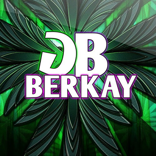 BE2kay’s avatar