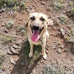 Анюта Тута