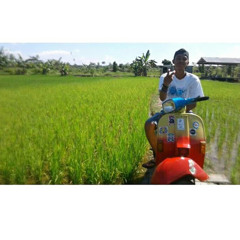 Wahyu Erickson Sihombing