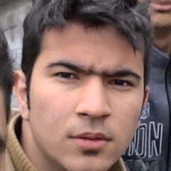 ali fasihi