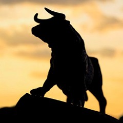 ageingbull