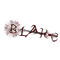 Blake Ziesler