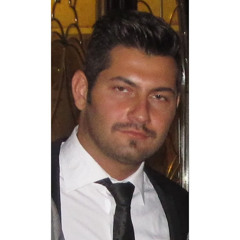 Mojtaba Hoseyni
