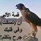 رامى حسن