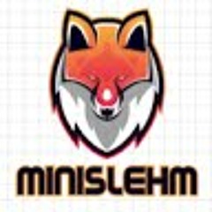 MiniSlehm