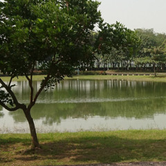 李婉鈴