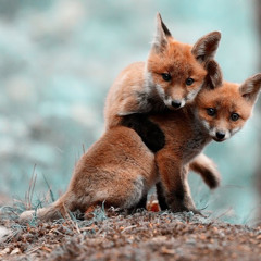 Veronica Lynn McEachern