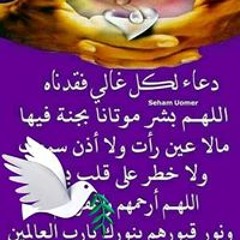 محمد عمران