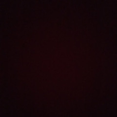 نورة الحارثي