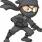The Furius Ninja :Tema