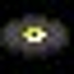 Ansirtus Lucky halit