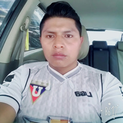 israel armando llumitasig