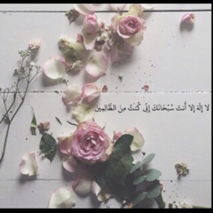 sh_alman