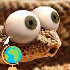 Jim