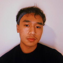 Nicholas Hoang