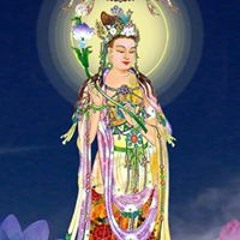 Phan Van Hung