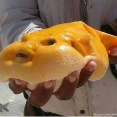 Жёлтенькая Уточка