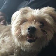 長山優真