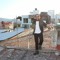 Omar