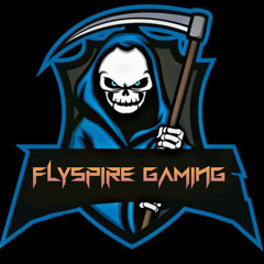 FlySpire Gaming