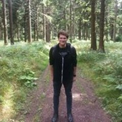 log_likelihood