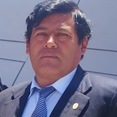 Lic. R Mamani Portillo