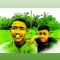nett fahmi