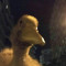 ducc