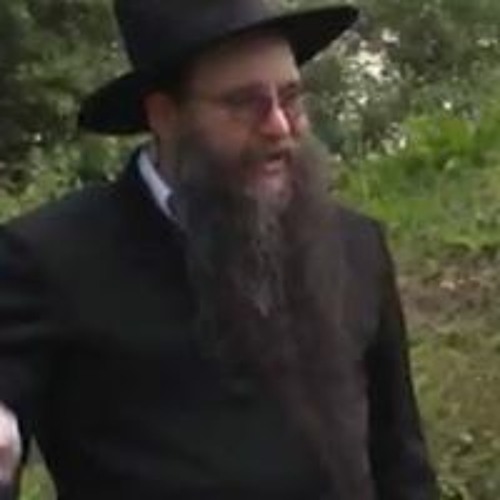 Moshe Meir Matusovski’s avatar