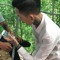 Lưu Tùng Lâm