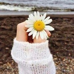 العزه لله وحده