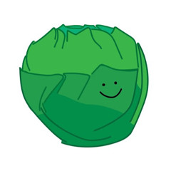 Cabbage