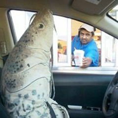 The writer must suffer