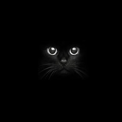 Black Cat