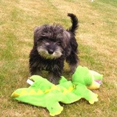 Oliver