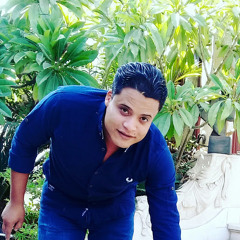 أحمد الفنان
