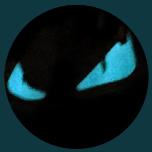 RageoFN’s avatar